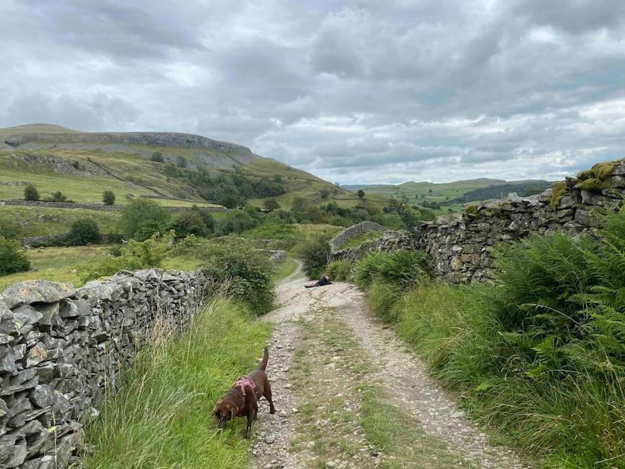 Charming Dog-Friendly Yorkshire Dales Cottage, Austwick Kültér fotó