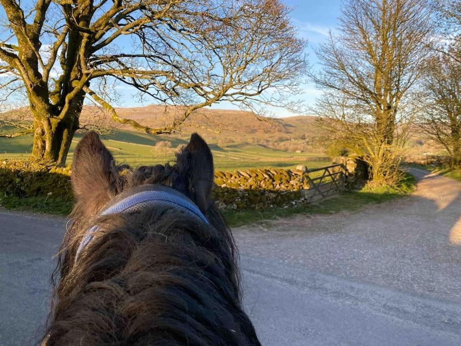 Charming Dog-Friendly Yorkshire Dales Cottage, Austwick Kültér fotó